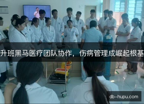 升班黑马医疗团队协作，伤病管理成崛起根基